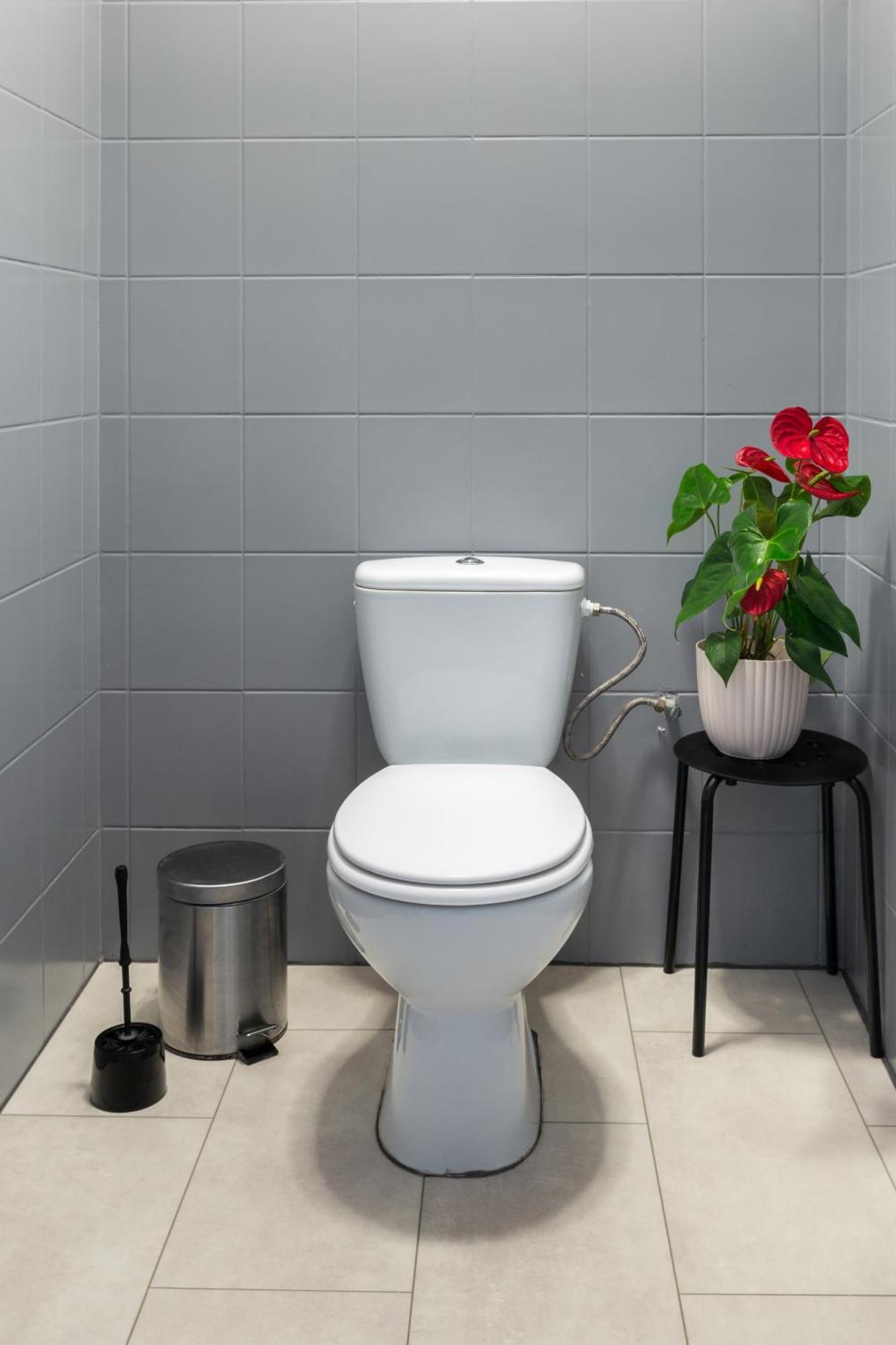 Apartament Friendhouse Avenue *